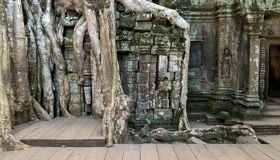 Ancient temples covered by the